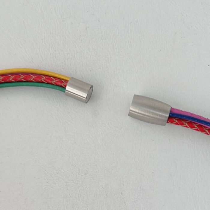 das Ledercollier mit LandFrauen Biene bunt